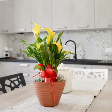 Feriehus Cimino By Termitito