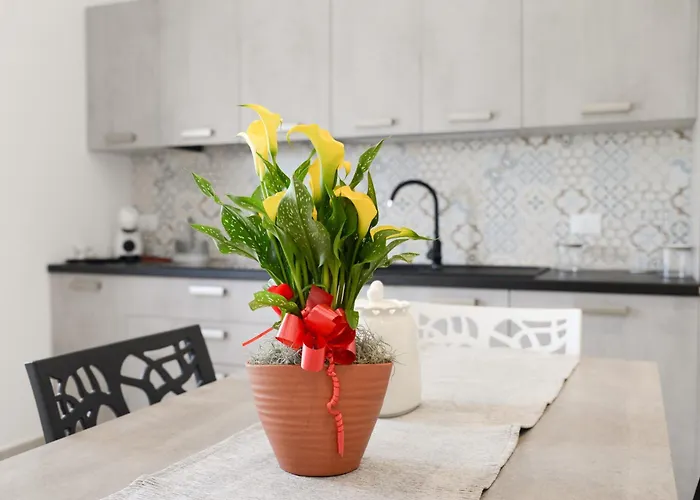 Hébergement de vacances Cimino By Termitito